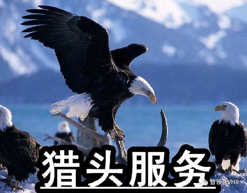 高管猎头服务